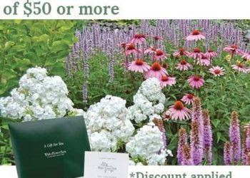 White Flower Farm: Save On Gift Certificates