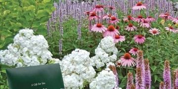 White Flower Farm: Save On Gift Certificates