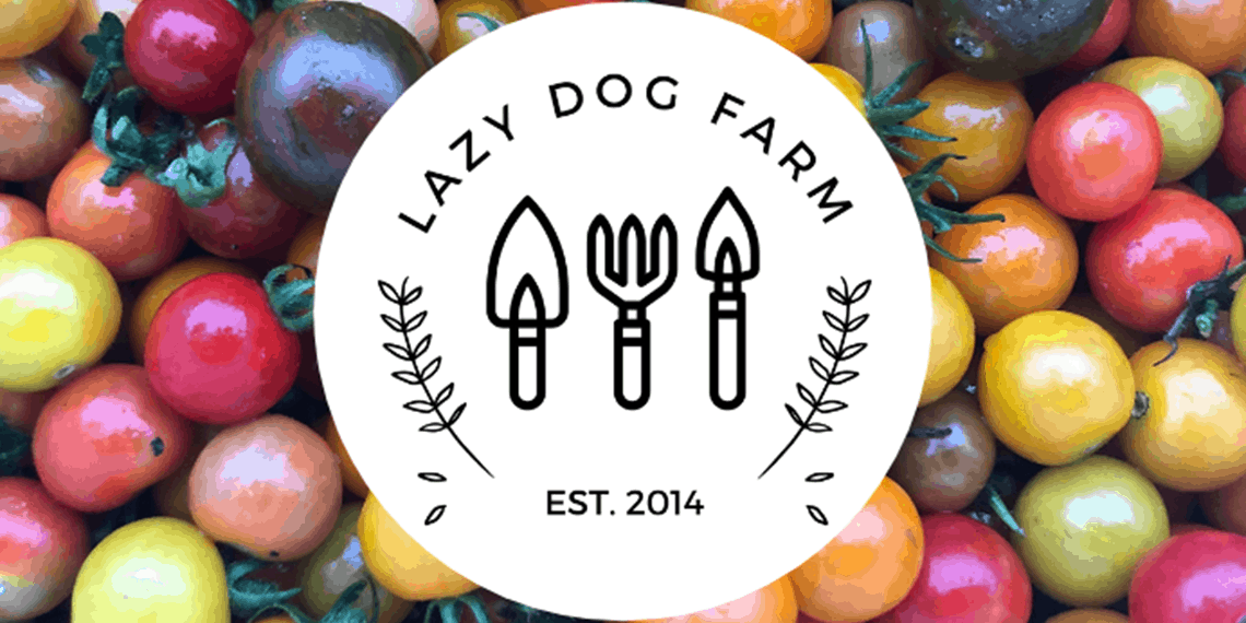Start Your Own Market Farm
