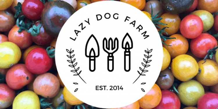 Start Your Own Market Farm