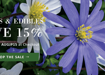 Jackson & Perkins: Save 15% on Bulbs