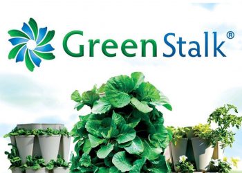 My First GreenStalk Garden Was…