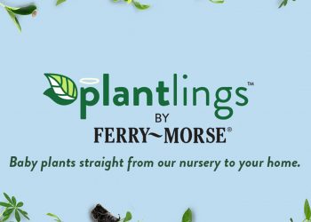 Ferry-Morse Extends the Gardening Season with the Launch of Fall Plantlings™ Featuring 40+ Varieties