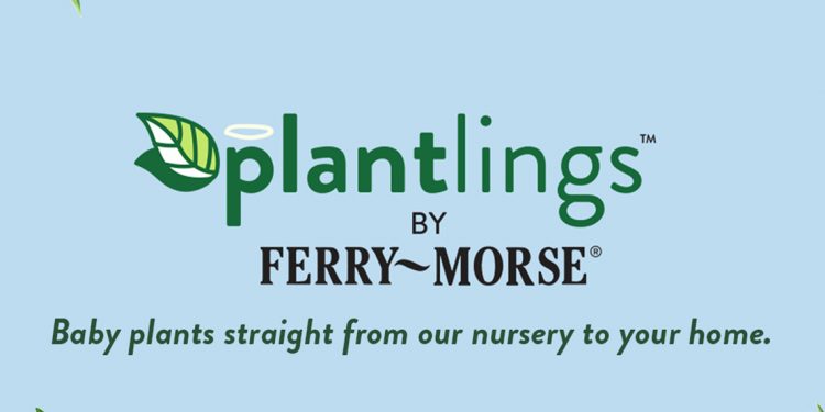 Ferry-Morse Extends the Gardening Season with the Launch of Fall Plantlings™ Featuring 40+ Varieties