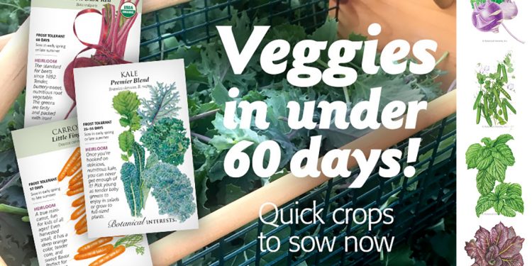 Botanical Interests Takes The Guess Work Out Of The Fall Garden