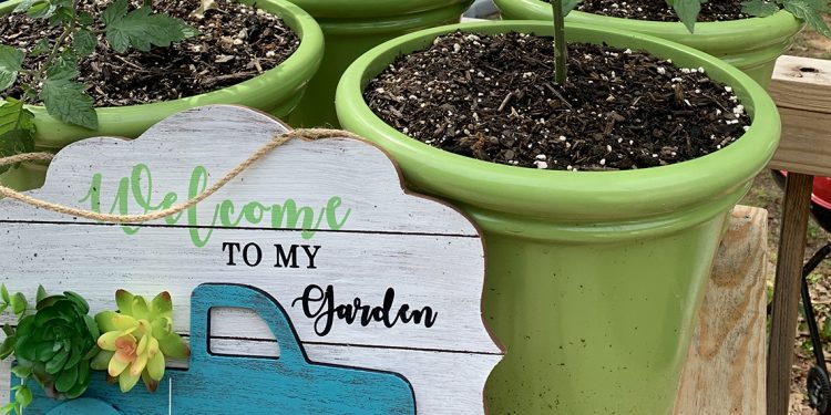 What Is The Best Way To Garden?