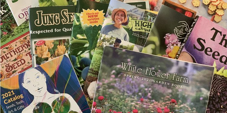 My 6 Favorite Seed Companies