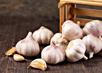 Now Is The Time To Order Your Garlic