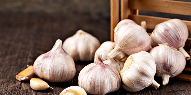 Now Is The Time To Order Your Garlic