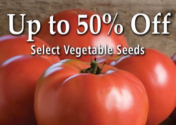 Johnny’s Selected Seeds: Save 50% On Veggie Seeds