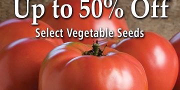 Johnny’s Selected Seeds: Save 50% On Veggie Seeds