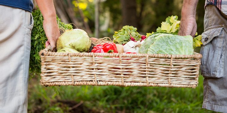 Ready To Learn? Start With These 6 Channels!