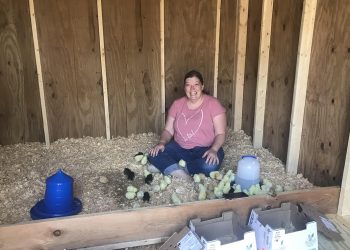 Chicken Math Is A Real Thing!