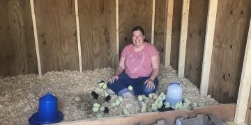 Chicken Math Is A Real Thing!