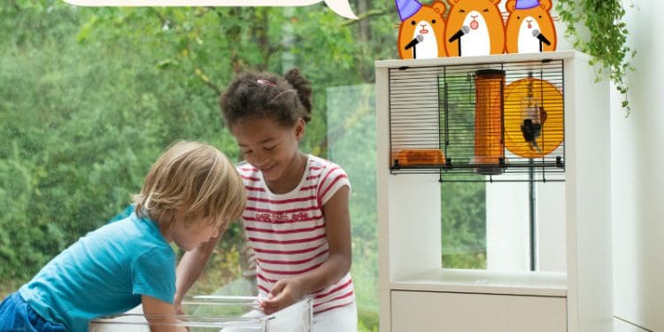 Omlet: 15% Off Qute Hamster Cage