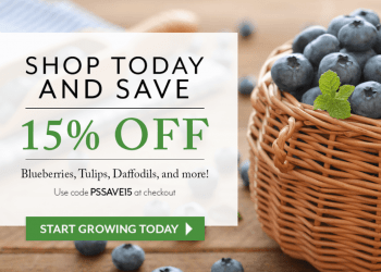 Park Seed: Save 15% On Fruit Options!