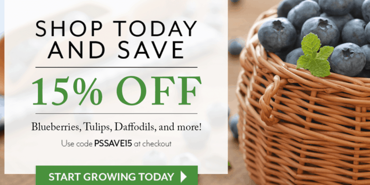 Park Seed: Save 15% On Fruit Options!