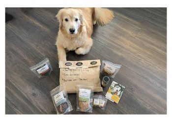 Farm Hounds Treats Are Lily Approved