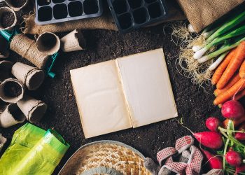 A Garden Planner Is Your Best Garden Tool