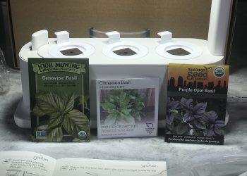 Grobo Start Is Giving Me Basil In The Winter