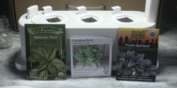 Grobo Start Is Giving Me Basil In The Winter