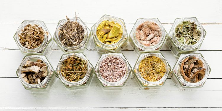 Herbal Remedies: 4 Books That Will Get You Started