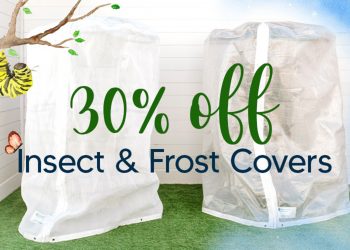 GreenStalk Big Sale!