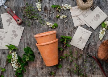 Seed Buying Season Is Here!