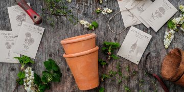 Seed Buying Season Is Here!
