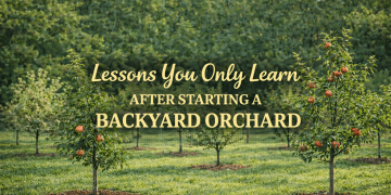 Lessons You Only Learn After Starting a Backyard Orchard