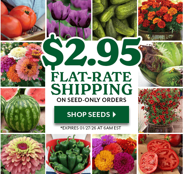 Park Seed Shipping Discount!