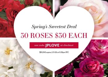 Valentine’s Sale – 30 Roses, $30 Each with code JPLOVE