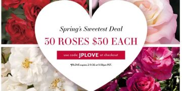 Valentine’s Sale – 30 Roses, $30 Each with code JPLOVE