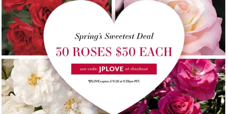 Valentine’s Sale – 30 Roses, $30 Each with code JPLOVE