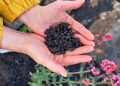 Why Biochar Works: Better Soil, Healthier Plants, Less Watering