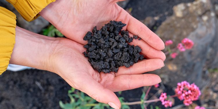 Why Biochar Works: Better Soil, Healthier Plants, Less Watering