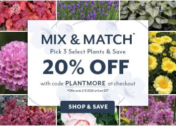 Wayside Gardens – Save 20%