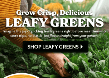 Save 25% at Park Seed!