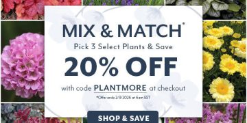 Wayside Gardens – Save 20%