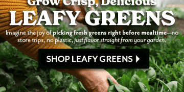 Save 25% at Park Seed!