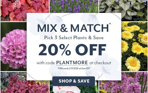 Wayside Gardens – Save 20%