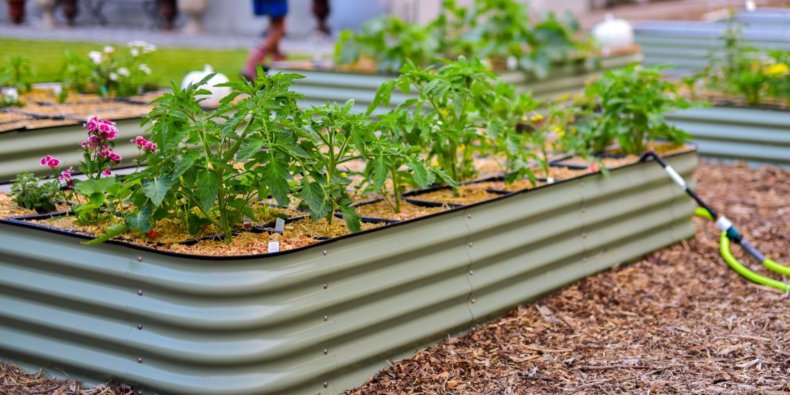 Raised Beds BOGO50 Right Now @ Botanical Interests