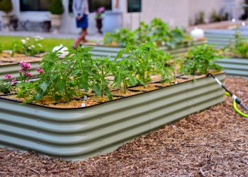 Raised Beds BOGO50 Right Now @ Botanical Interests