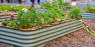 Raised Beds BOGO50 Right Now @ Botanical Interests