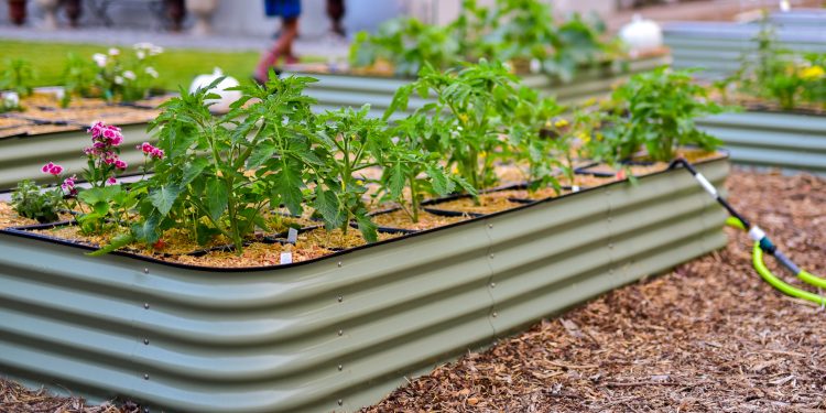 Raised Beds BOGO50 Right Now @ Botanical Interests